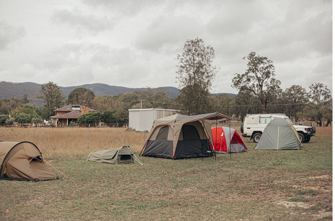 people camping in a park